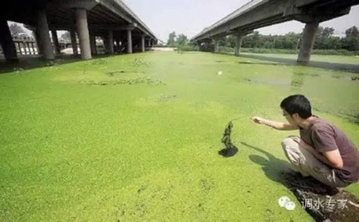 水質(zhì)檢測(cè)送樣需知